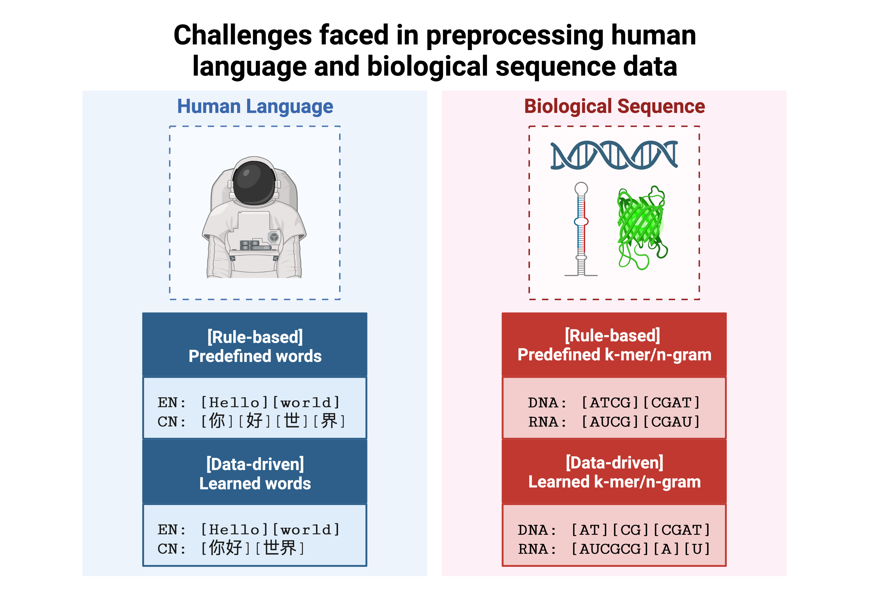 _images/bio_vs_nlp.png